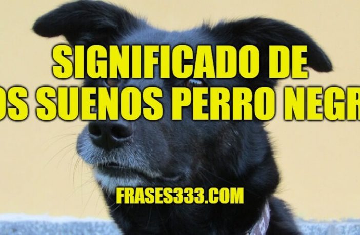 Soñar con un perro negro: recupera el optimismo