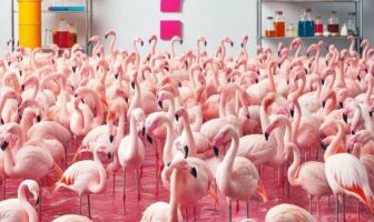 ¿Por qué los flamencos a veces pierden su color rosa? Descubre las causas